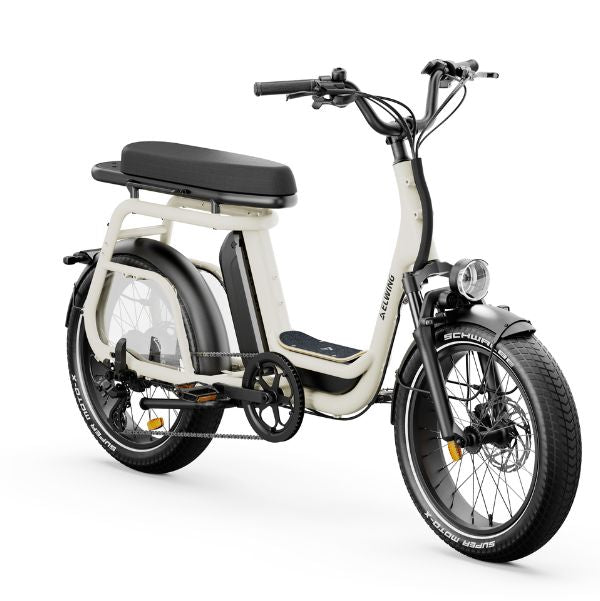 Ritmic Duo vélo électrique cargo avec selle biplace confortable pour 2 adultes usage urbain à lille.